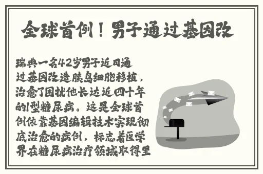 兔子先生传媒文化作品