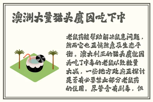 国产精品沙发午睡系列990531特色